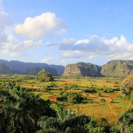 Vinales