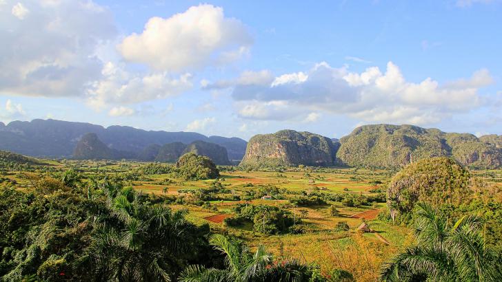 Vinales