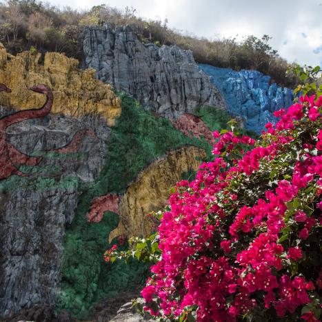 Vinales