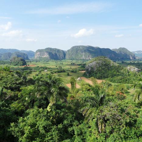 Vinales