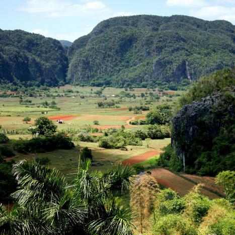 Vinales 
