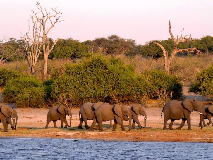 Afrika